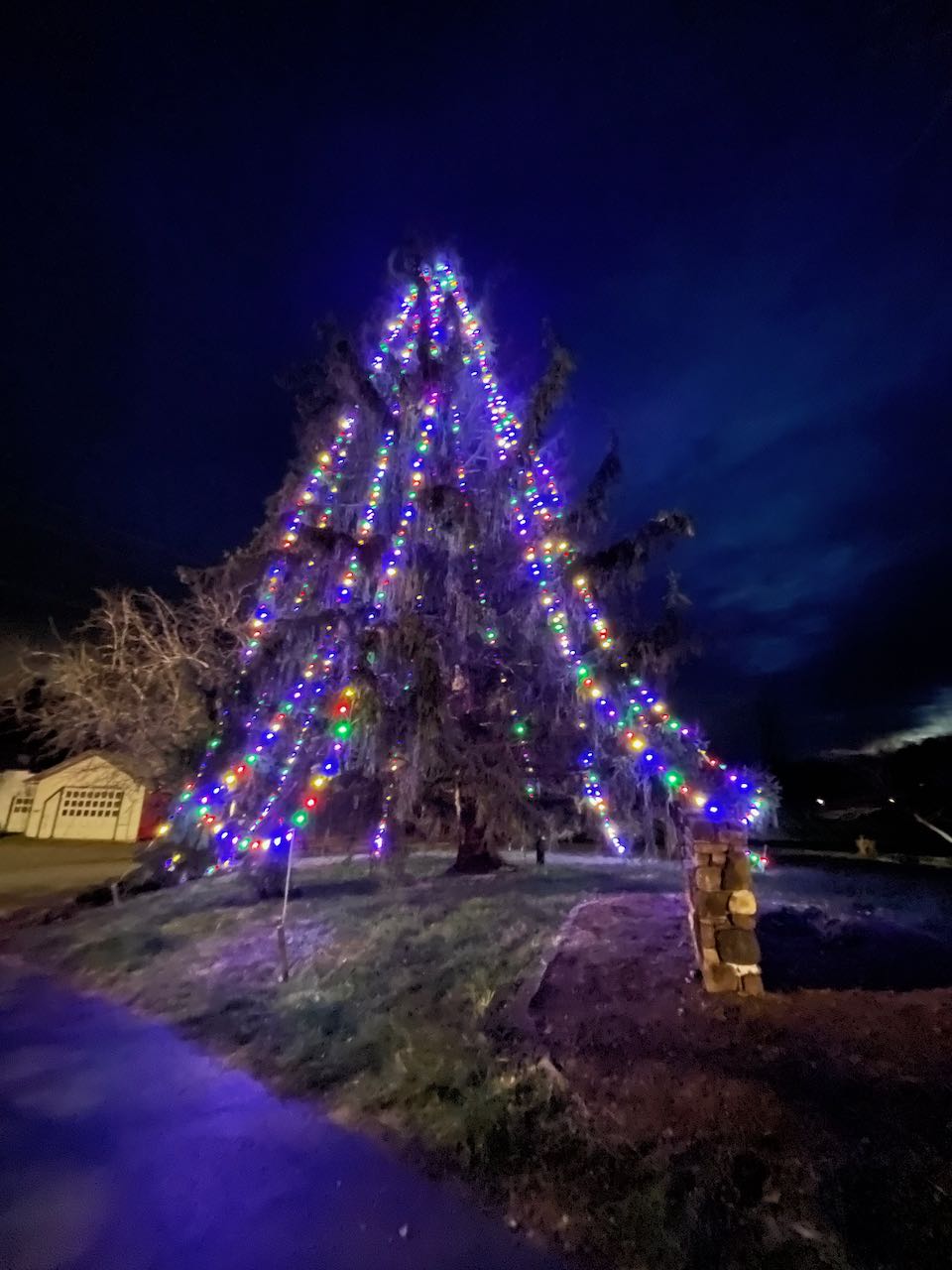 Free Union Tree Lighting 2021